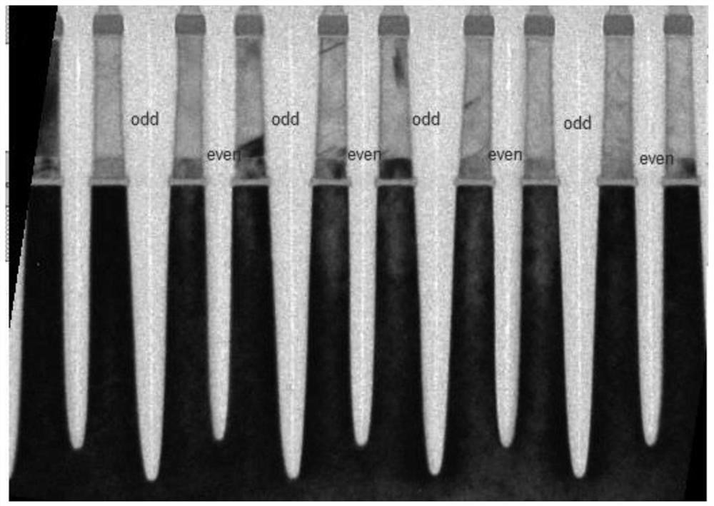 Double exposure method of nand flash memory structure