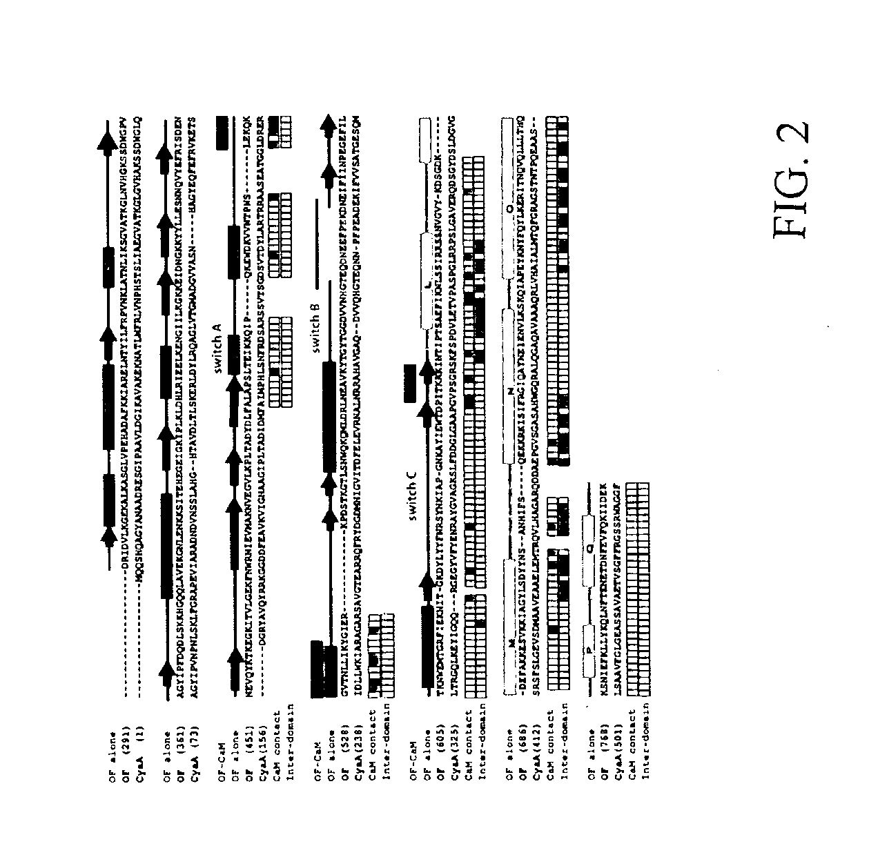 Methods and compositions relating to anthrax pathogenesis