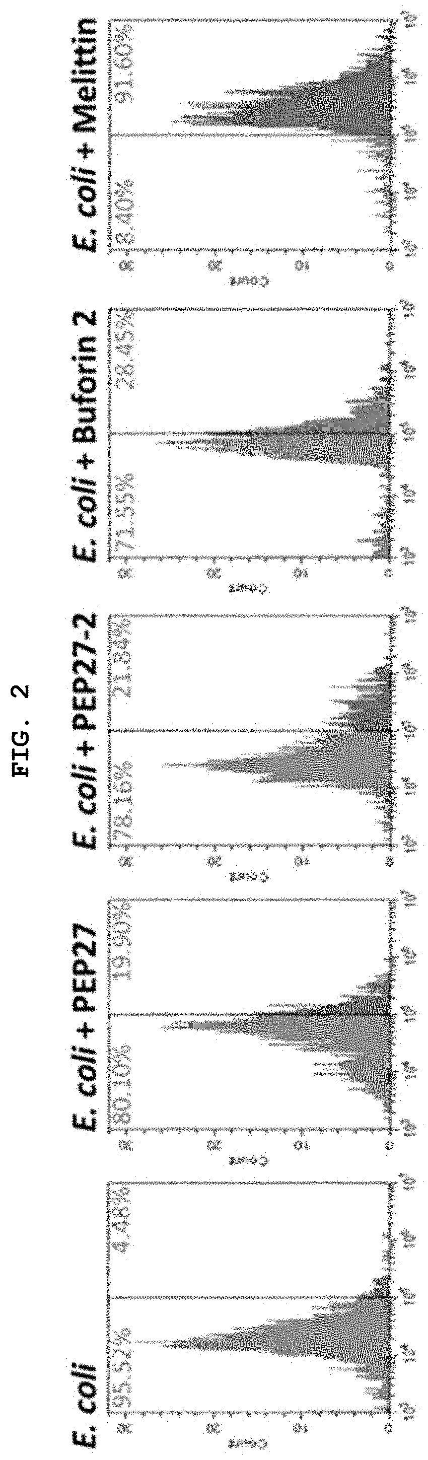 Novel peptide derived from pep27 peptide and uses thereof