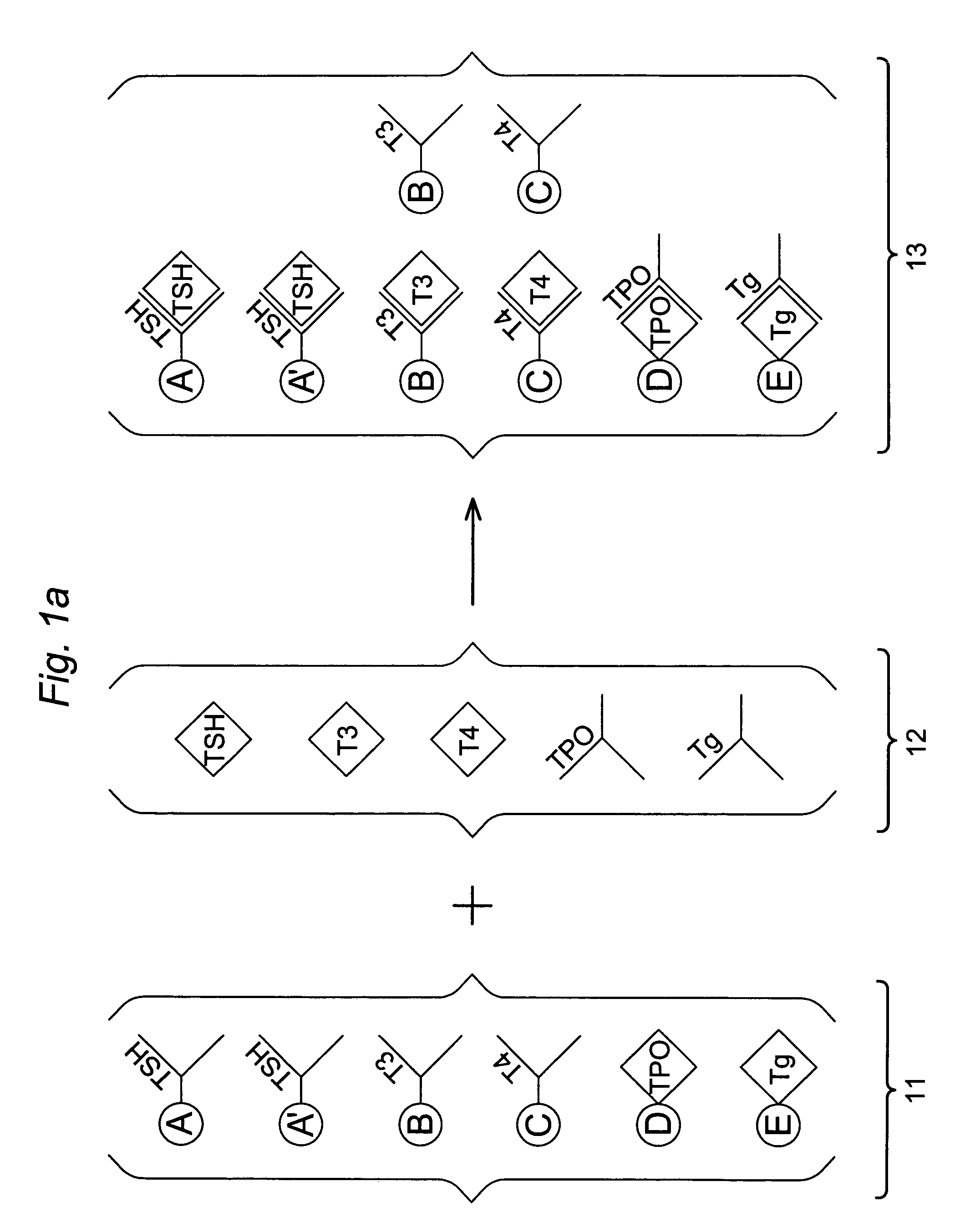 Multi-analyte diagnostic test for thyroid disorders