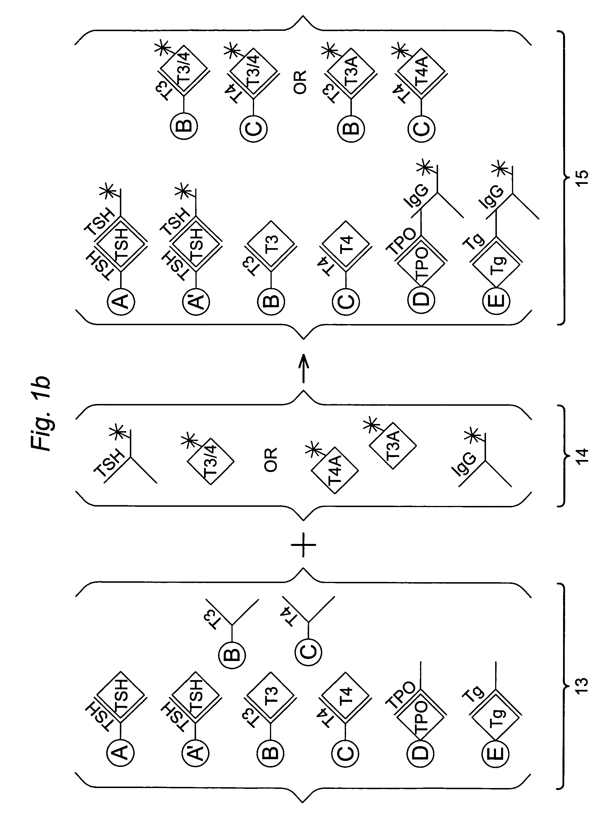 Multi-analyte diagnostic test for thyroid disorders