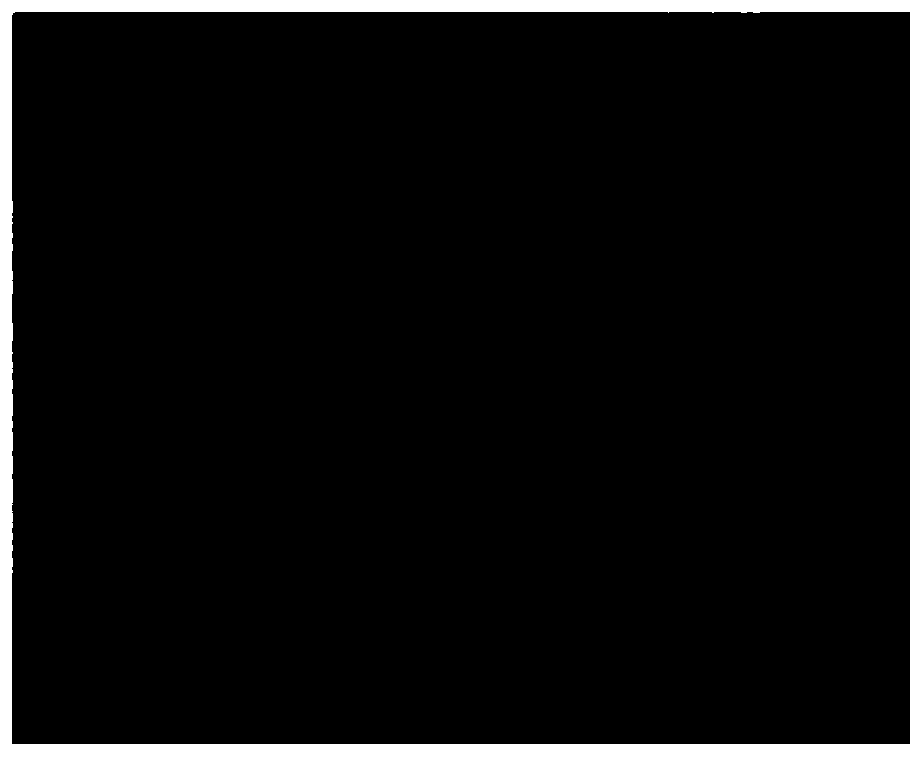 United medicine for resisting human cytomegalovirus (HCMV) and measuring method of component concentration of united medicine