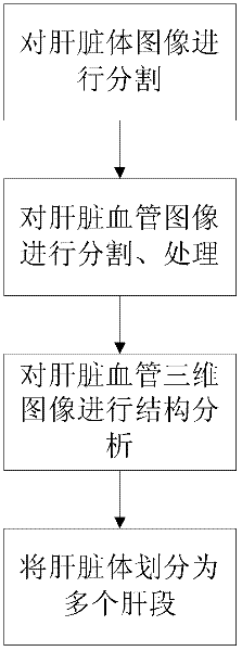 Three-dimensional structural description method of hepatic vascular system