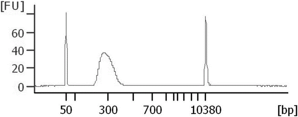 Detection method and application of lung cancer genes