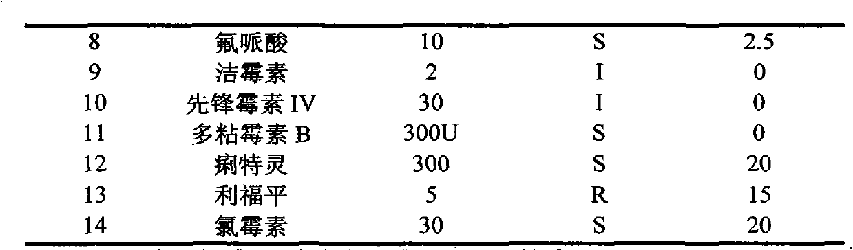 Vibrio anguillarum (listonella anguillarum) virulent strain and application thereof