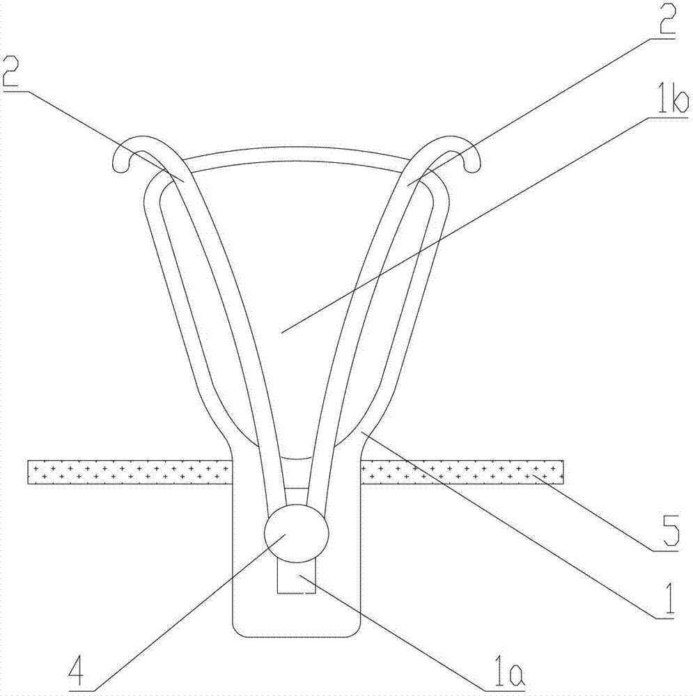 Oral lip ectropion fixing apparatus