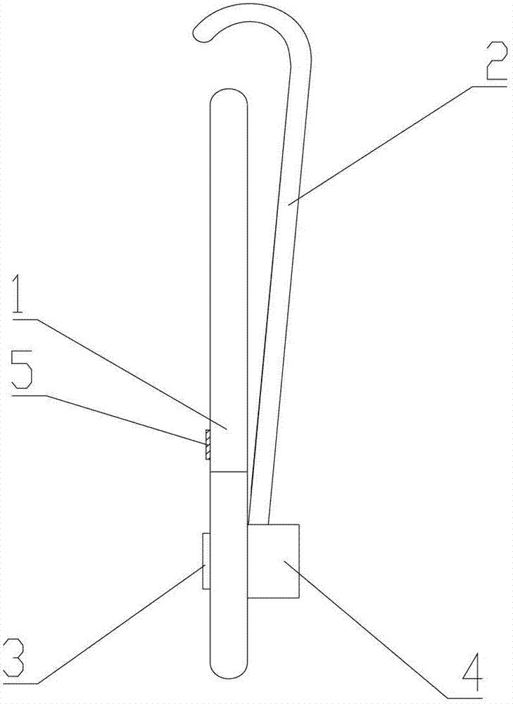 Oral lip ectropion fixing apparatus