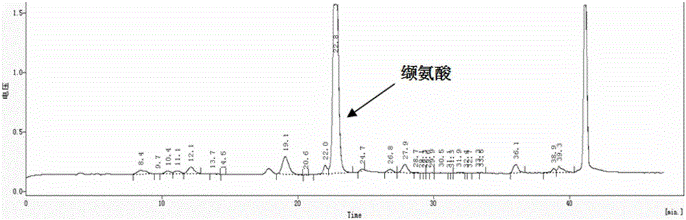 Corynebacterium glutamicum and application