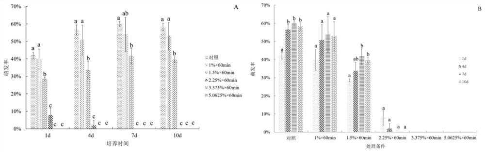 Construction method of laver mutant library