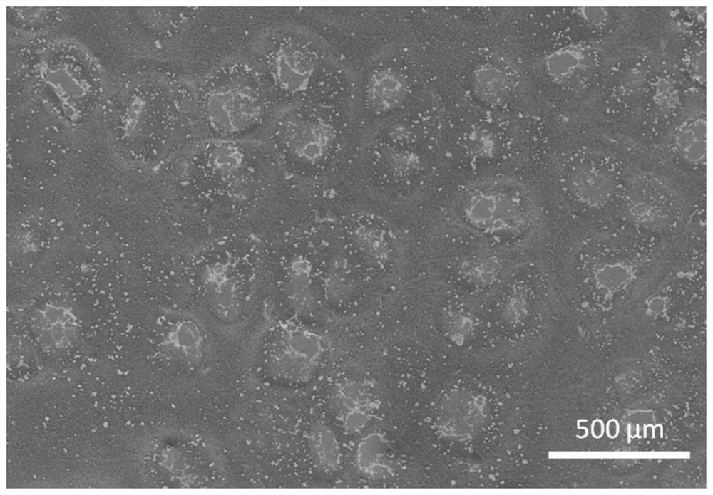 A preparation method of an oil-water separation membrane with underwater superoleophobic properties and antibacterial properties