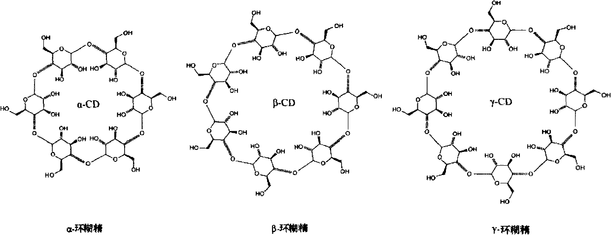 Protein in situ expression chip, and constructing method and application thereof