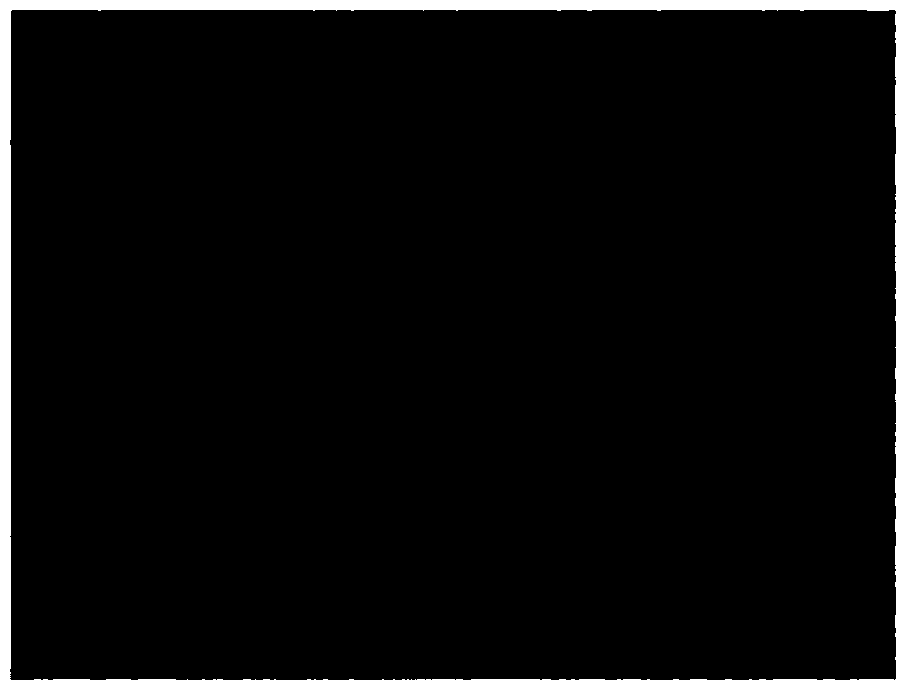 The pouring system and pouring method of thin-walled castings