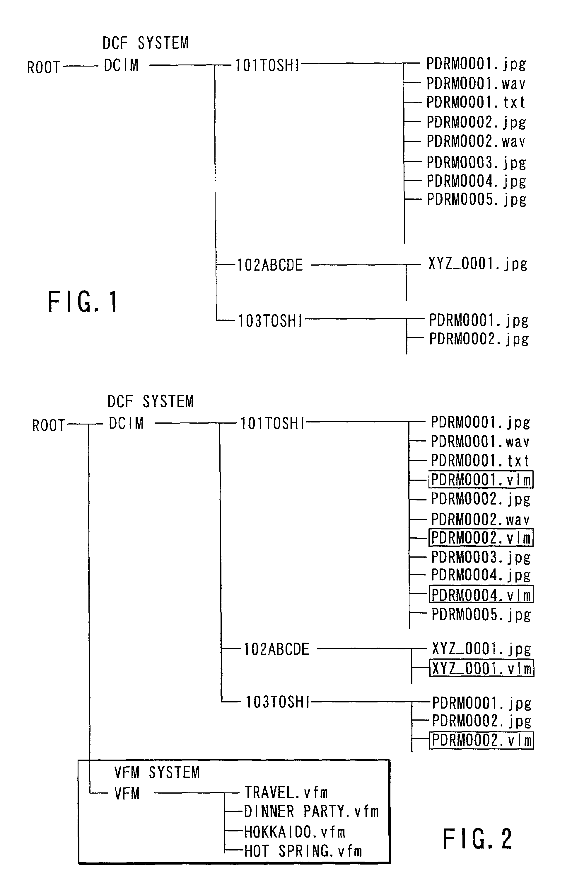 Electronic camera apparatus and file management method