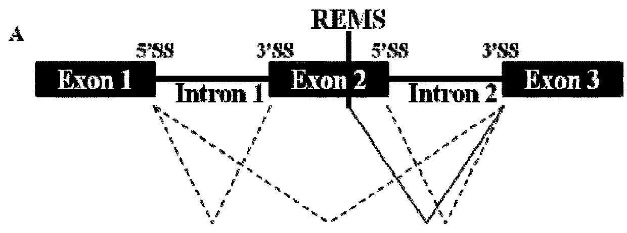 Methods for modulating RNA splicing