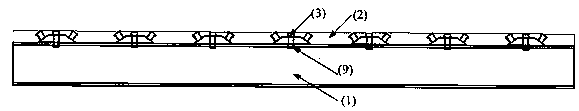 Steel plate bracket-cluster type inclined nail fast assembled steel-UHPC thin plate combined structural system