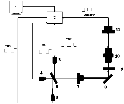 Dynamic measurement device and method for microcirculation metabolism of living tissue