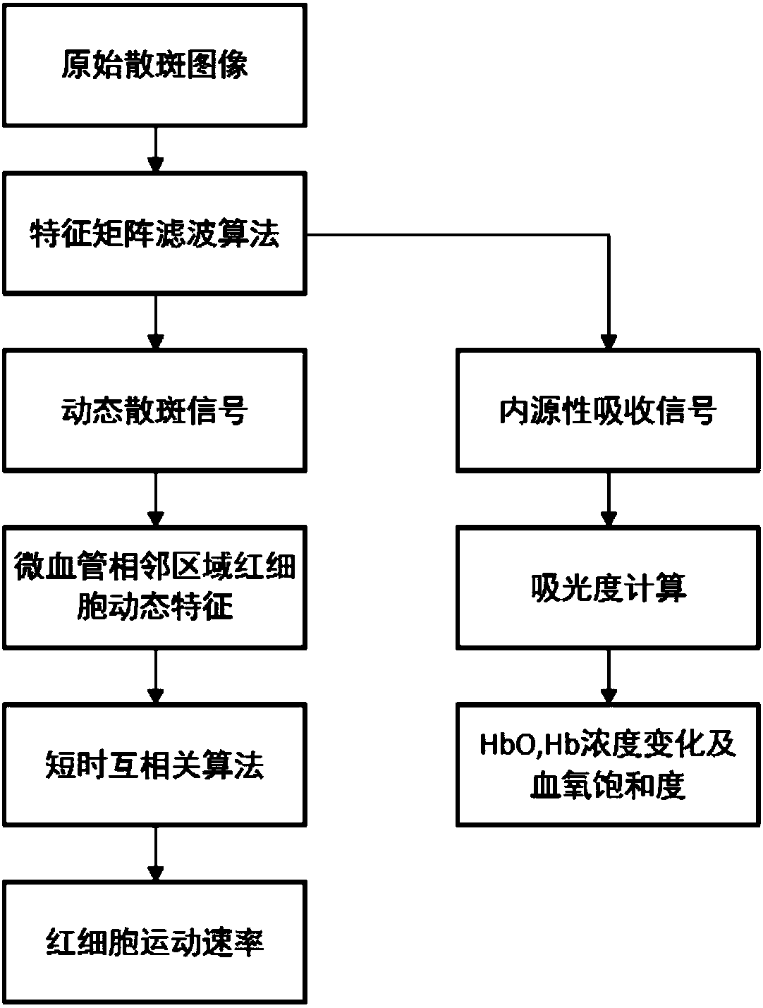 Dynamic measurement device and method for microcirculation metabolism of living tissue