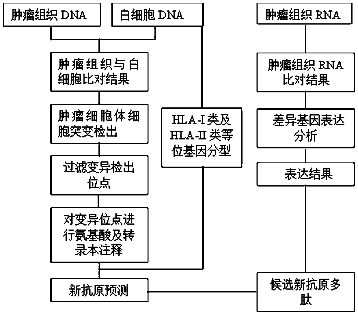 Method for predicting tumor neoantigen and its application