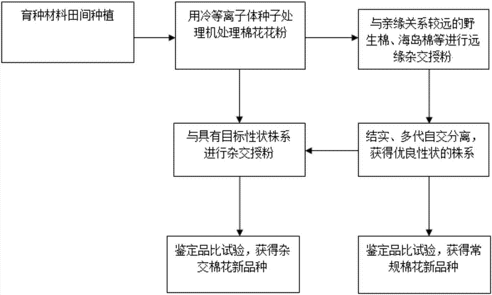 Cotton breeding method and application of cold plasma treatment pollen