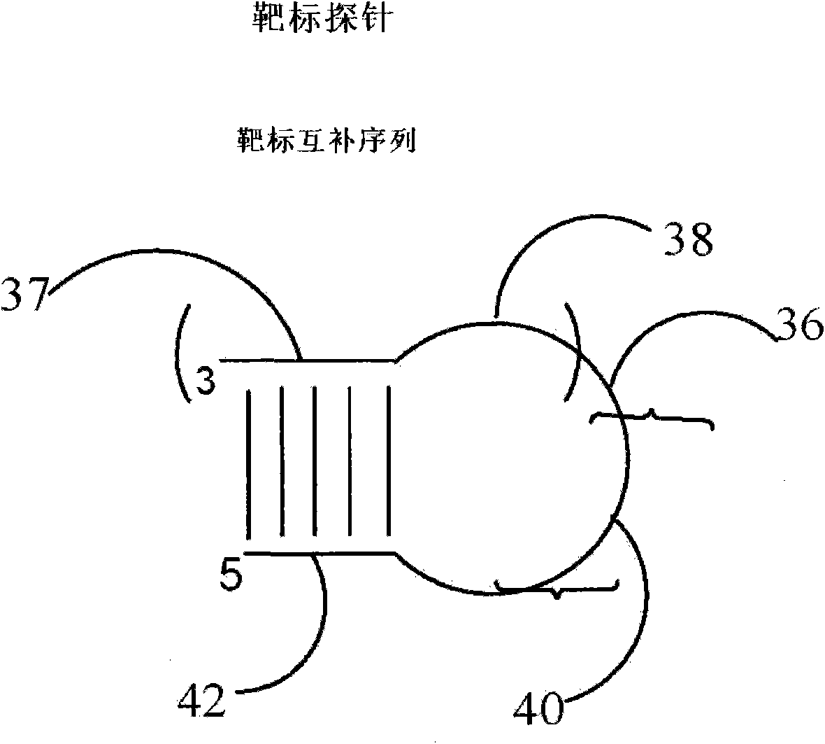 Method and kit for detecting nucleotide sequence