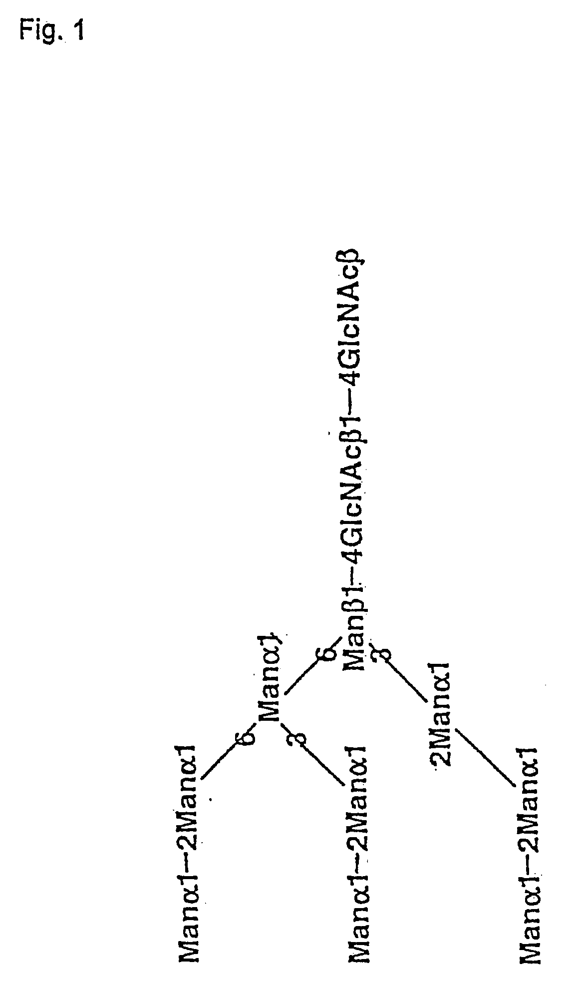 Gene transfer methods