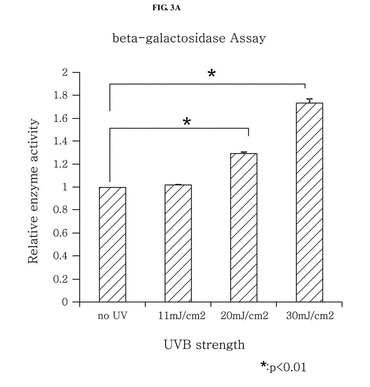 Method for preparing senescent melanocytes, cells prepared by method, and method for screening for senescence-alleviating material by using cells