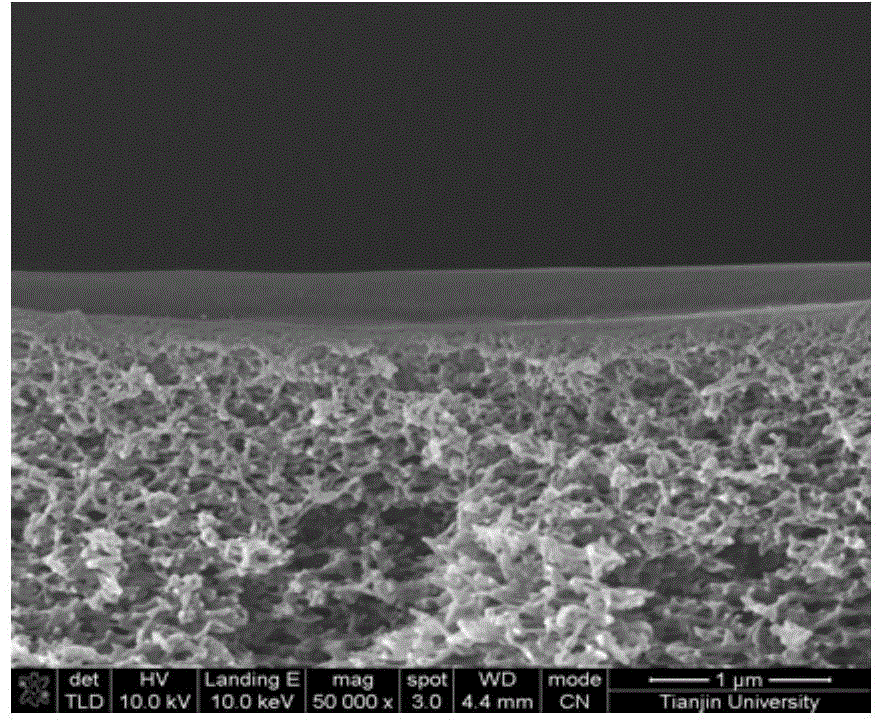 Carbon dioxide separating membrane having both primary amine and carbonate and preparation method thereof