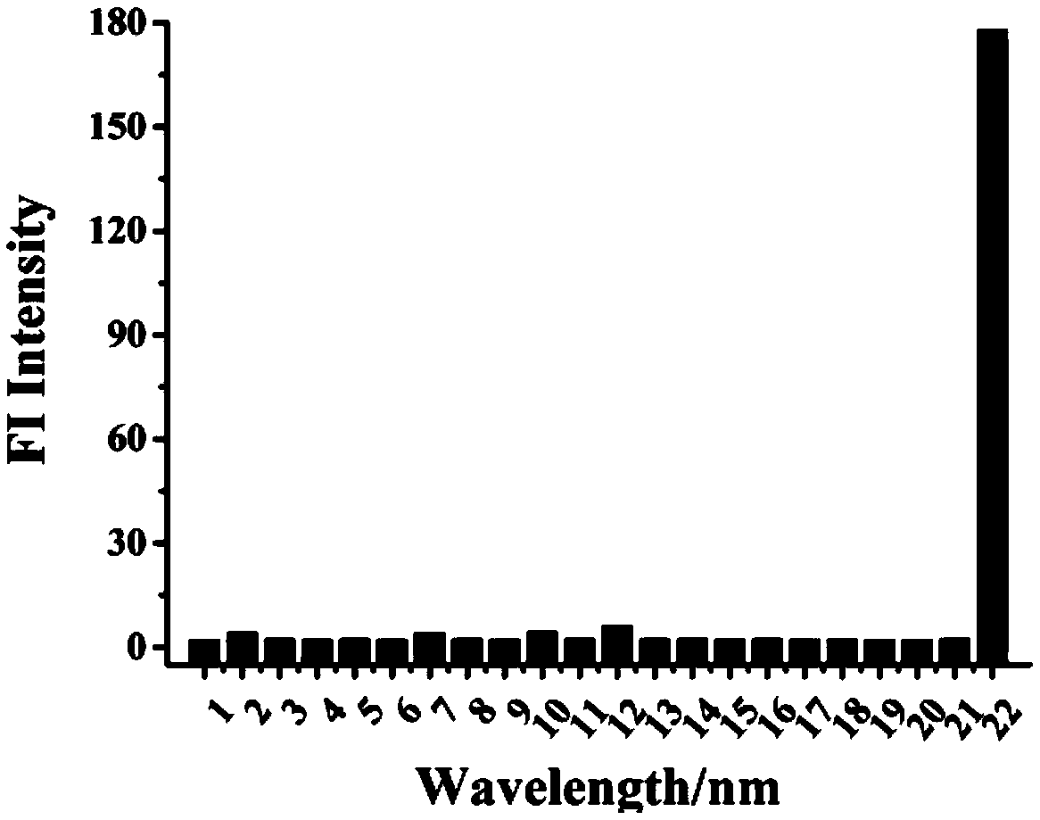 CO (carbon monoxide) fluorescence probe as well as preparation method and application thereof