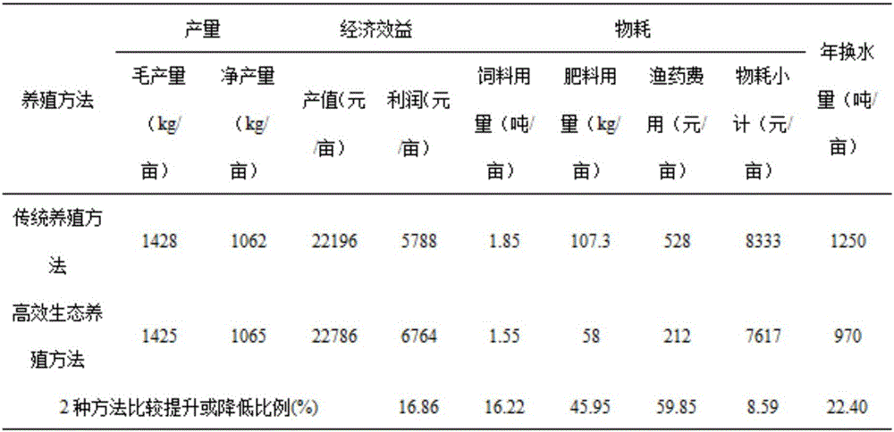 Efficient ecological culture method of black carps