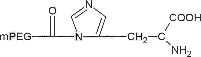 Amino acid connected with polyethylene glycol and preparation method and application for amino acid