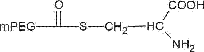 Amino acid connected with polyethylene glycol and preparation method and application for amino acid