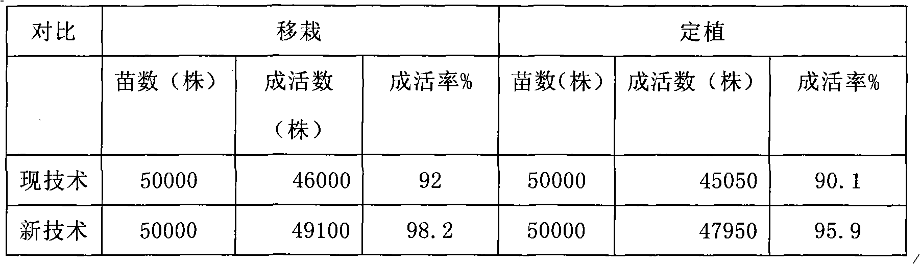 Method for producing Gypsophila seedling using mini-type cuttage