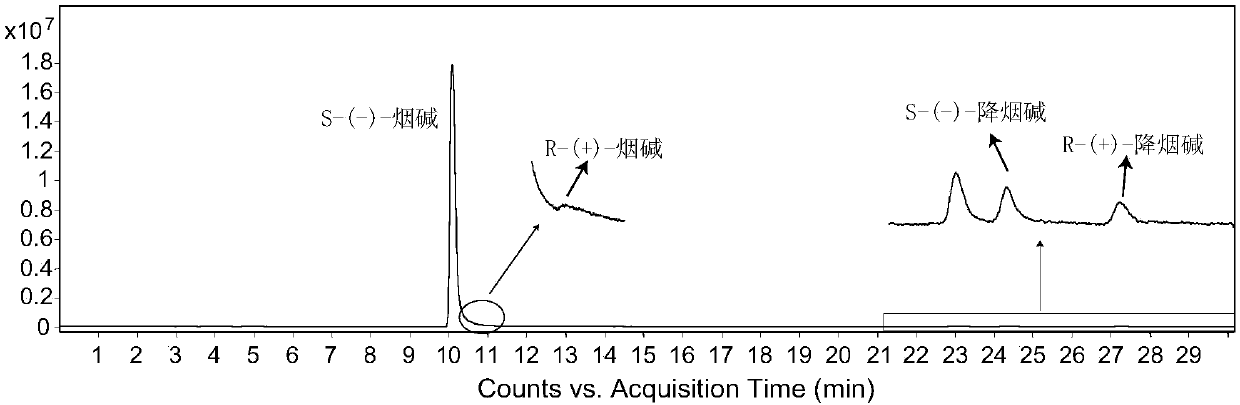 Method for chirally analyzing nicotine and nornicotine in tobacco and tobacco products