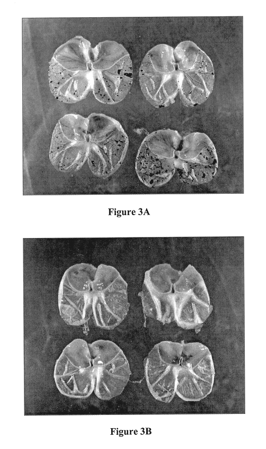 Method and composition for repairing and promoting regeneration of mucosal tissue in the gastrointestinal tract