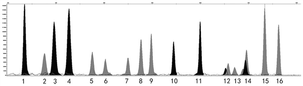 A blood mRNA detection kit and detection method