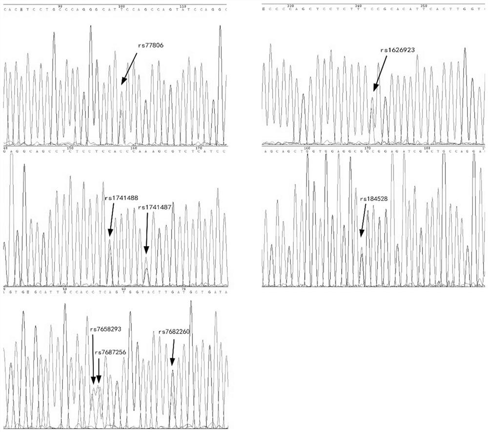 A blood mRNA detection kit and detection method