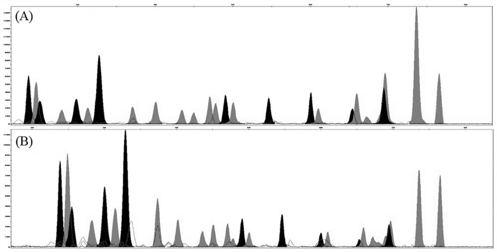 A blood mRNA detection kit and detection method