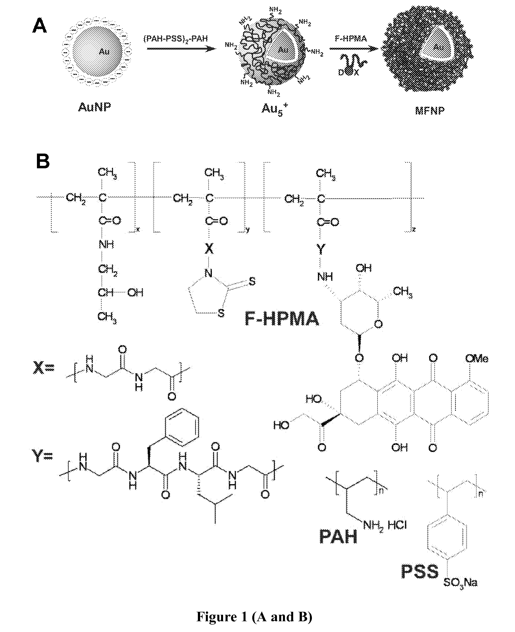 Multifunctional stealth  nanoparticules for biomedical use