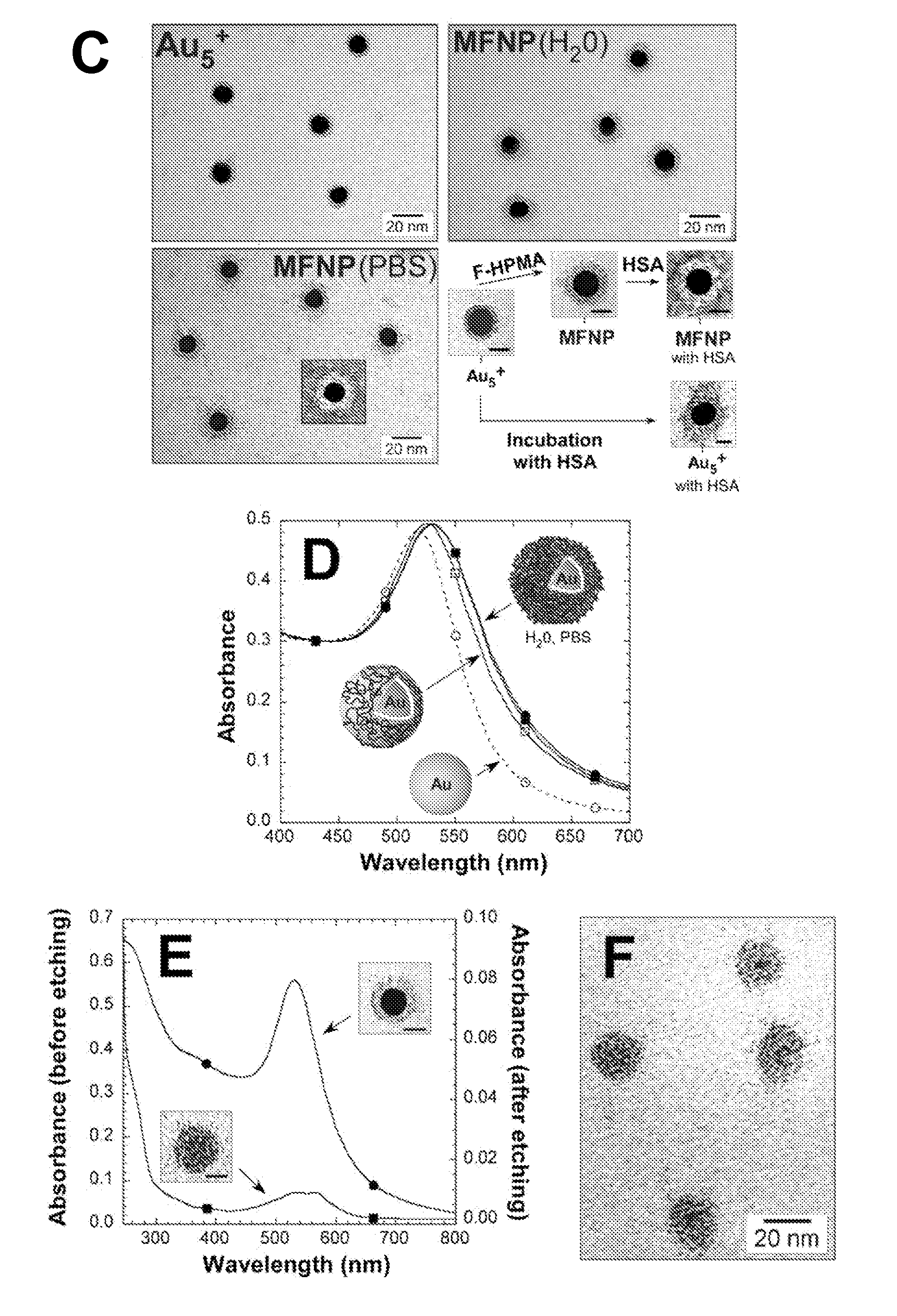 Multifunctional stealth  nanoparticules for biomedical use