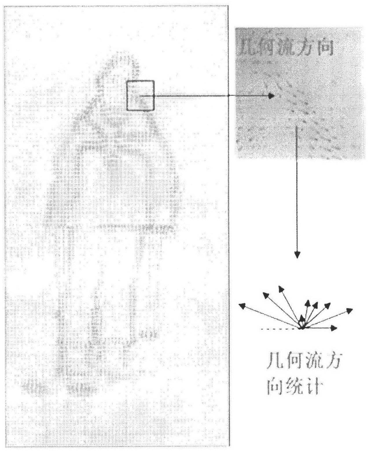 Method for tracing human body movement based on maximum geometric flow histogram