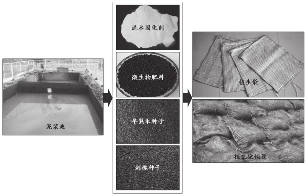 Muddy water curing agent for preparing plant-growing bag from engineering slurry, plant-growing bag and preparation method