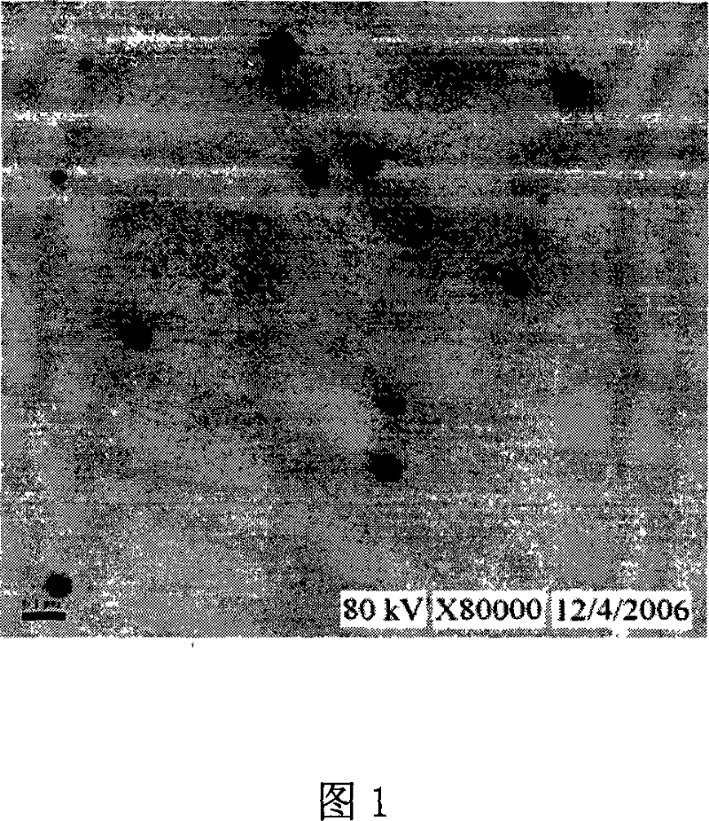 Bacteria resisting medicine of erythrocin nanometer-emulsion and the preparing method