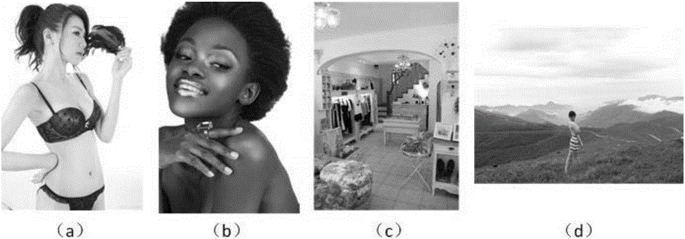 Internet porn image detection method based on deep convolution nerve network