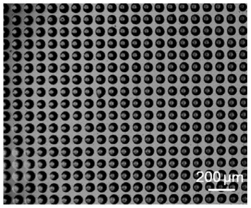 A kind of ionic liquid microarray monomolecular layer fluorescent sensing film and its preparation method and application