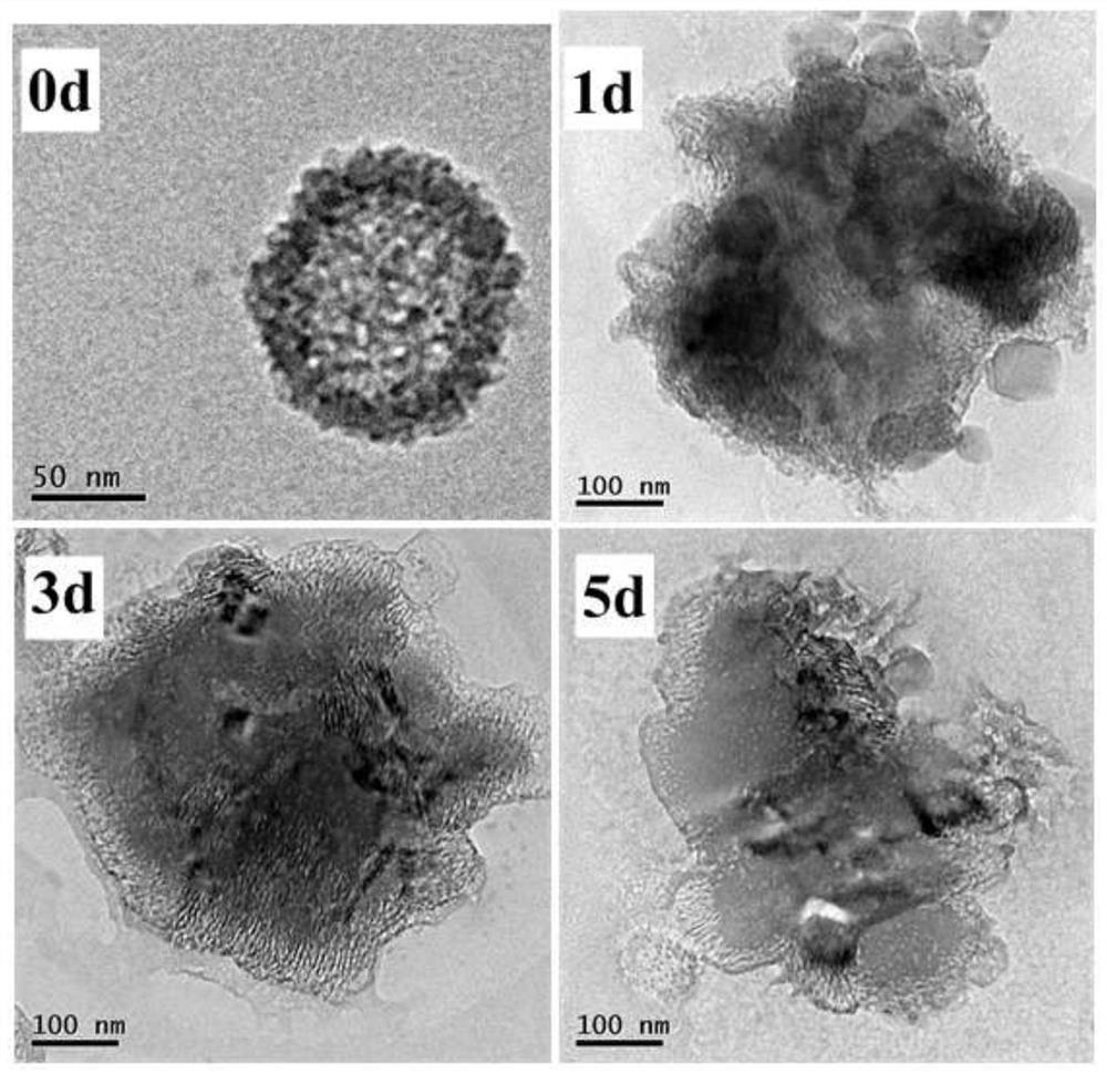 A preparation method of pH-responsive degradable hollow mesoporous silicone nanoparticles