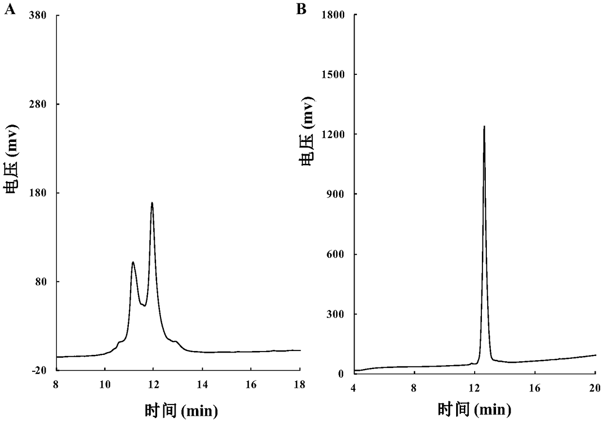 Exenatide analogue with hydroxyamino and application thereof