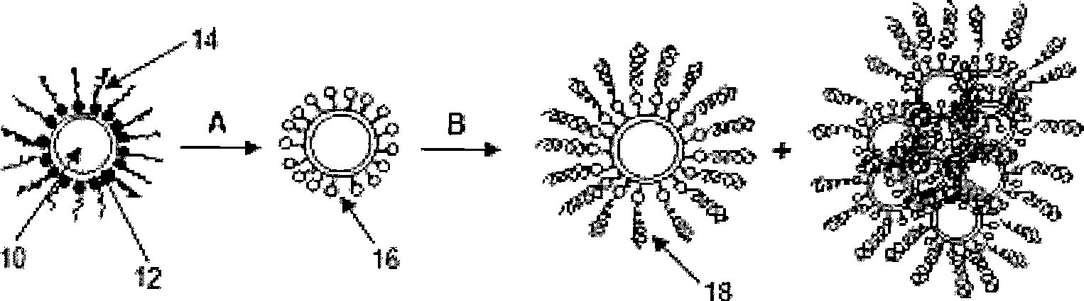 Method for the production of bio-imaging nanoparticles with high yield by early introduction of irregular structure