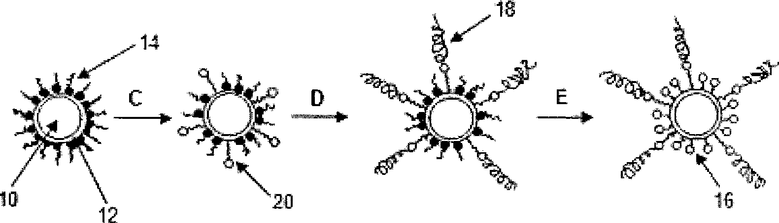 Method for the production of bio-imaging nanoparticles with high yield by early introduction of irregular structure