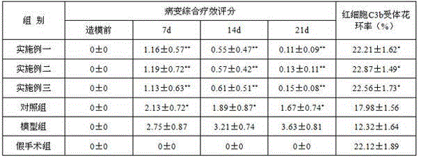 Externally applied traditional Chinese medicine composition used for treating viral keratitis