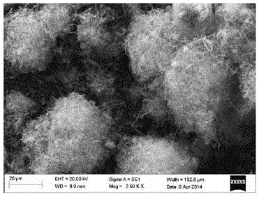 A kind of preparation method of xonotlite type calcium silicate material